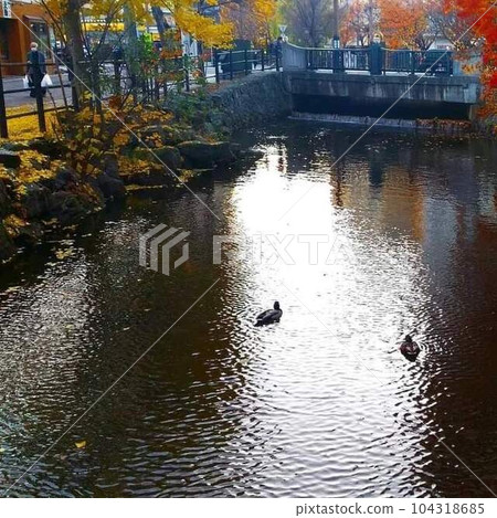 Sosei river and reflection in Sapporo city Sosei river and reflection in Sapporo city 104318685