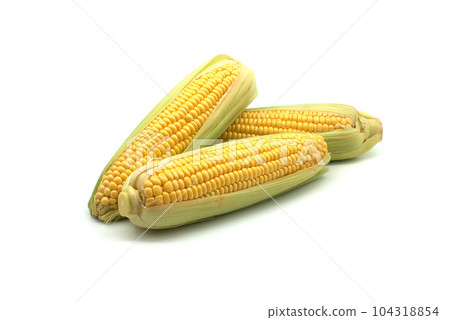 Corn on the cob with leaves over white background Corn on the cob with leaves over white background 104318854