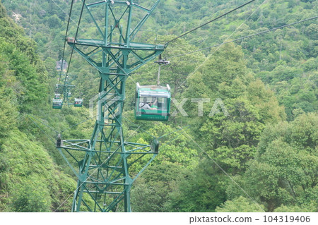 紅葉谷線纜車 紅葉谷線纜車 104319406