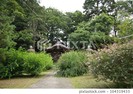 清新綠色的正念寺 104319433