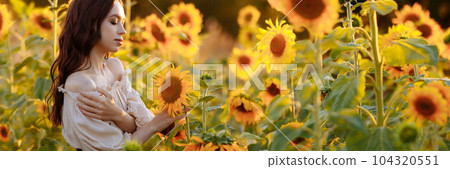 Banner beautiful woman in a dress in a field of sunflowers Banner beautiful woman in a dress in a field of sunflowers 104320551