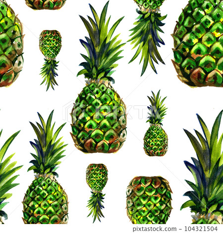 Watercolor summer green pineapple pattern on white background. Spring fruit background. Watercolor summer green pineapple pattern on white background. Spring fruit background. 104321504