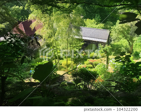old house in the countryside old house in the countryside 104322200