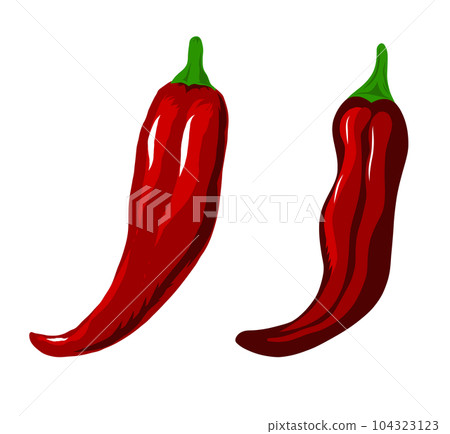 Illustration of two red chili peppers 104323123