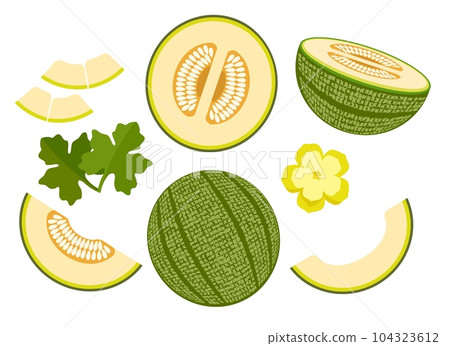 Cartoon green melon 104323612