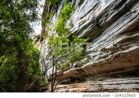 Limestone cave of stalactite and stalagmite formations, Gruta da Lapa Doce Cave, Chapada Diamantina in Bahia, Brazil. Limestone cave of stalactite and stalagmite formations, Gruta da Lapa Doce Cave, Chapada Diamantina in Bahia, Brazil. 104323683