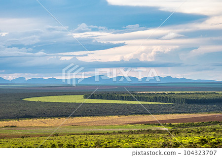 Round agricultural fields between Ibicoara and Mucuge in the Chapada Diamantina National Park, Bahia, Brazil 104323707