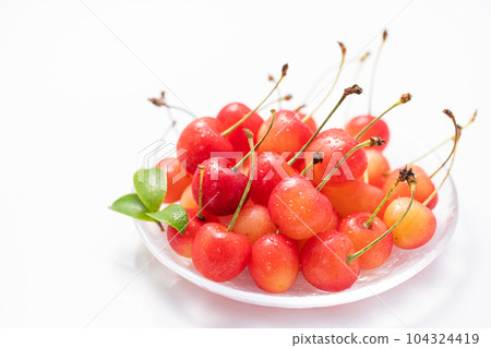 Cherry white background 104324419
