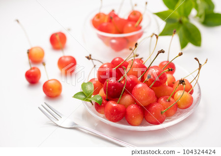 Cherry white background 104324424
