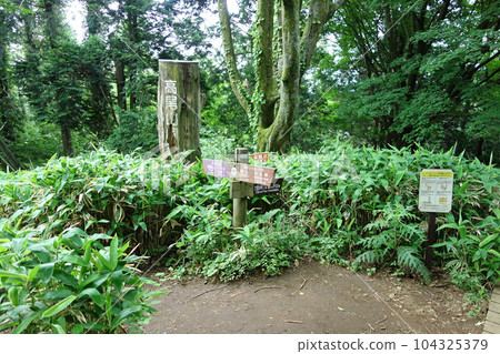 小堀木城山 → 一之平路標(高尾山至陣馬山路線)(東京都八王子市) 小堀木城山 → 一之平路標(高尾山至陣馬山路線)(東京都八王子市) 104325379
