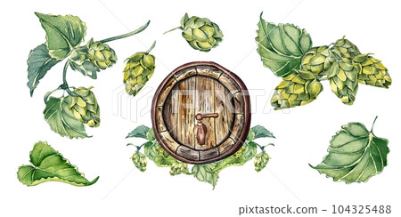 Set of wooden beer barrel and hop plants watercolor illustration isolated on white background. Vintage barrel hand drawn. Design element for advertising beer festival, packaging, brewing, signboard Set of wooden beer barrel and hop plants watercolor illustration isolated on white background. Vintage barrel hand drawn. Design element for advertising beer festival, packaging, brewing, signboard 104325488