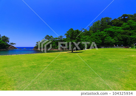 [Fukui Prefecture] Sunny Shiroyama Park (Meikyo-dong) 104325934
