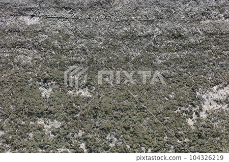Image of a thatched roof (Shikoku Mura Miuseam Waraya) Image of a thatched roof (Shikoku Mura Miuseam Waraya) 104326219