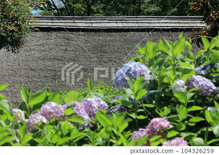 Image of a thatched roof (Shikoku Mura Miuseam Shitoki Residence) Image of a thatched roof (Shikoku Mura Miuseam Shitoki Residence) 104326259