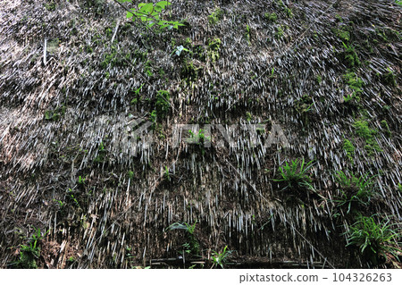 Image of a thatched roof Image of a thatched roof 104326263