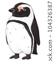 波泰托洪堡企鵝 波泰托洪堡企鵝 104326387