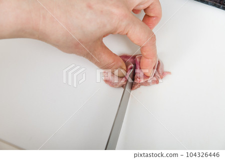 [家庭主婦用刀準備烤雞肉串豬舌] 104326446