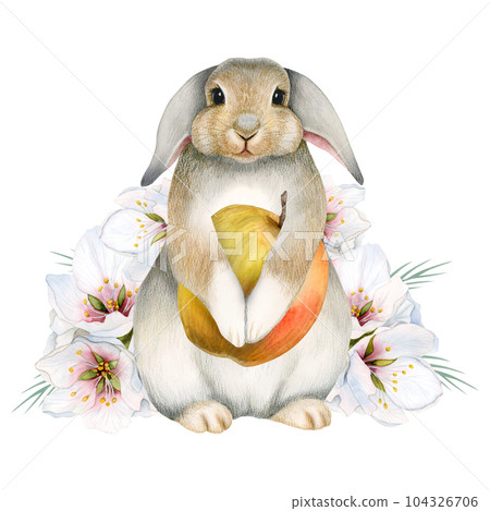 Watercolor bunny rabbit with apple fruit and pink white flowers illustration isolated on white background. Cute hand drawn hare for stickers, kids room nursery decor 104326706