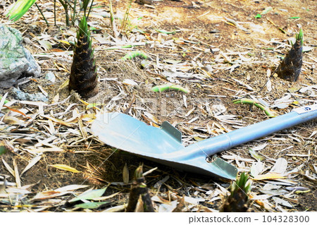 The taste of spring that grows and emerges from the soil, and the scoop 104328300