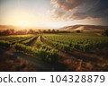 Beautiful landscape of vineyards rows on mountains or hills sunset background with cloudy sky 104328879