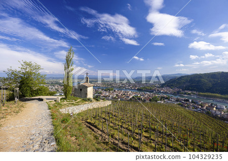 Grand cru vineyard and Chapel of Saint Christopher, Tain l'Hermitage, Rhone-Alpes, France 104329235