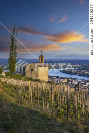 Grand cru vineyard and Chapel of Saint Christopher, Tain l'Hermitage, Rhone-Alpes, France 104329237