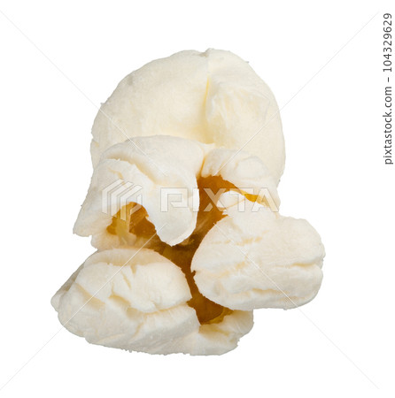 Single popcorn seed, macro shot isolated on white background 104329629