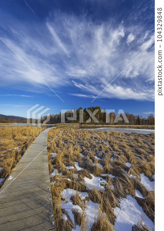 nature reserve Olsina, Sumava National Park, Czech Republic nature reserve Olsina, Sumava National Park, Czech Republic 104329848