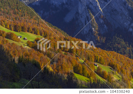 Typical landscape near Damuls, Bregenzer Wald, Bregenz district, Vorarlberg, Austria 104330240