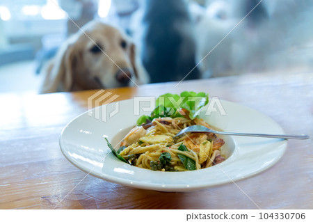 The dog is watching on Spaghetti with spicy prawn and squid , focus selective 104330706