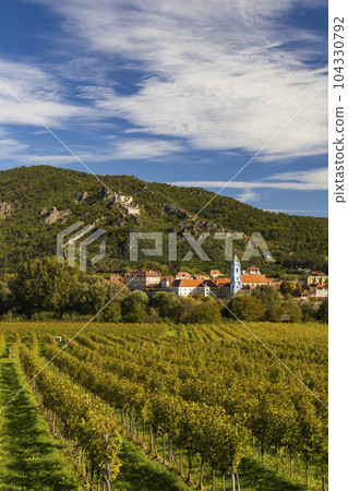 Wachau valley near Durnstein, UNESCO site, landscape with vineyards, Austria Wachau valley near Durnstein, UNESCO site, landscape with vineyards, Austria 104330792