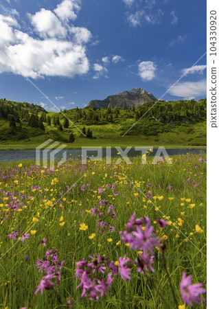 Landscapes near Kalbelesee, Hochtann Mountain Pass, Warth, Vorarlberg, Austria 104330920