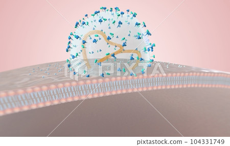 virus attack on immune system 104331749