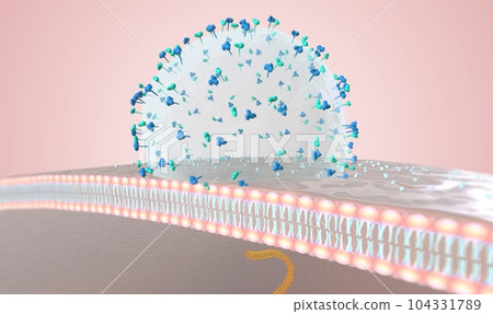 virus attack on immune system 104331789