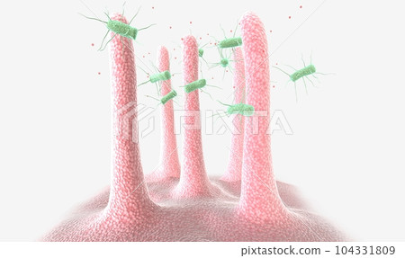 Pertussis, is a highly contagious respiratory illness characterized by a persistent, severe cough. 104331809