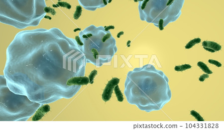 Urinary Tract Infection Bacterial Infection Urinary Tract Infection Bacterial Infection 104331828