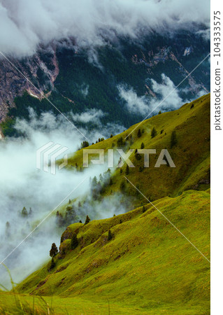 landscape with hills, trees and fog 104333575