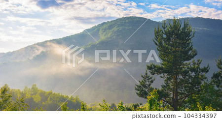 wonderful mountainous countryside at sunrise. nature freshness concept 104334397