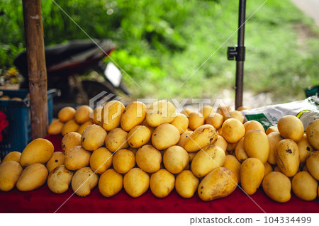 Mangos at the street market 104334499