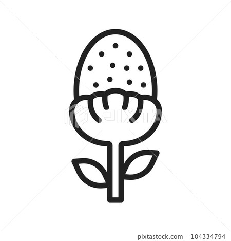 Pineappleweed Icon Image. Pineappleweed Icon Image. 104334794
