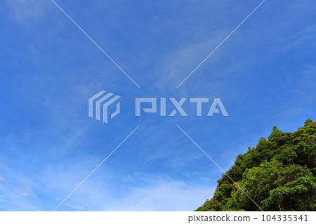 Blue sky, thin clouds, forest Blue sky, thin clouds, forest 104335341