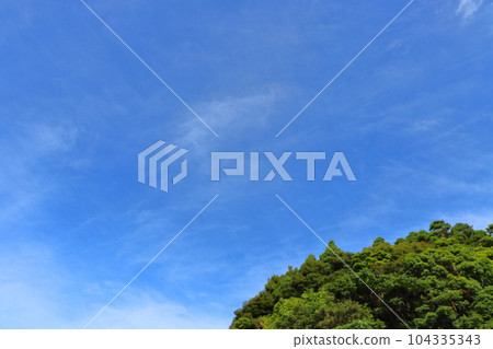 Blue sky, thin clouds, forest Blue sky, thin clouds, forest 104335343
