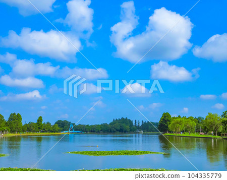 七月雨季的池塘和森林景觀 104335779