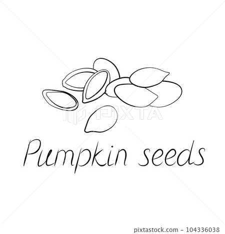 Pumpkin seeds vector. Vegetarian food or snack illustration Pumpkin seeds vector. Vegetarian food or snack illustration 104336038