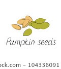 Pumpkin seeds vector. Vegetarian food or snack illustration 104336091