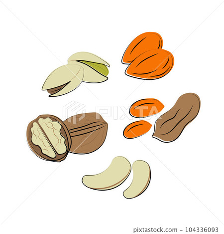 Nuts pistachio almond walnut cashew peanut collection, peanutisolated on white background. Cartoon Vector Icon 104336093