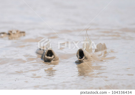 Intimidating mutsugorou 104336434