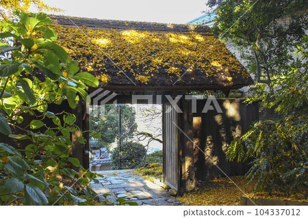 東城丘歷史公園周邊景色 東城丘歷史公園周邊景色 104337012