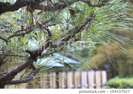 東城丘歷史公園周邊景色 104337027