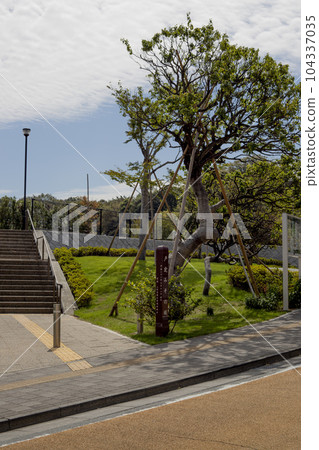 Tojogaoka Historical Park Surrounding scenery 104337035